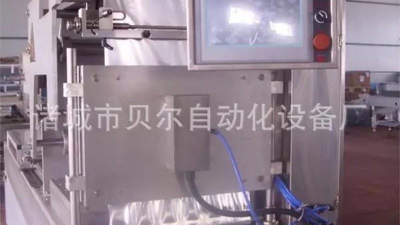 饮料行业装箱机：揭秘其选型与市场格局